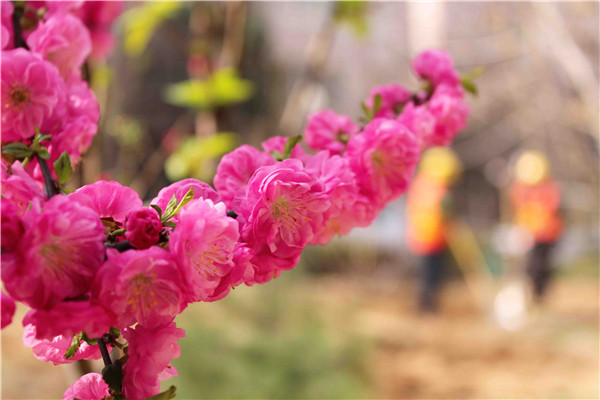 中国·2299威尼斯(股份)有限公司-官方网站